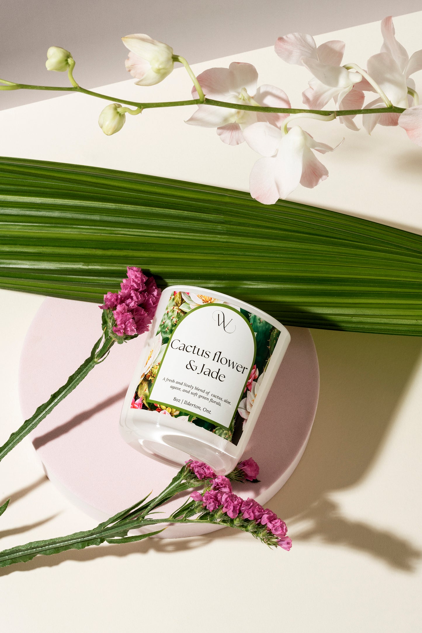 Cactus Flower & Jade