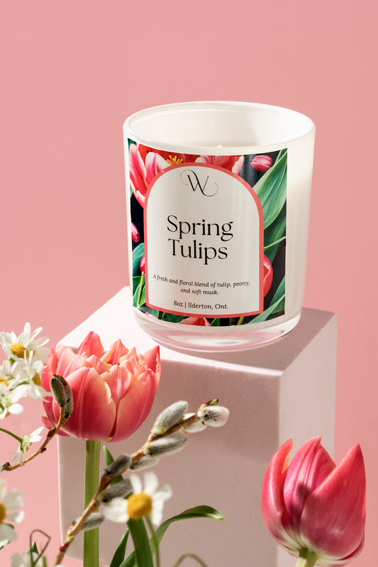 Spring Tulips